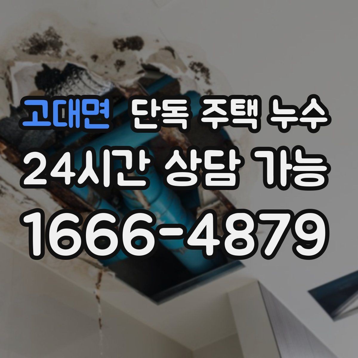 고대면 단독 주택 누수 장판 아래 곰팡이 생겼다면 무엇을 의심할까