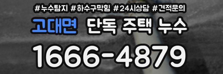 고대면 단독 주택 누수