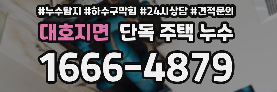 대호지면 단독 주택 누수