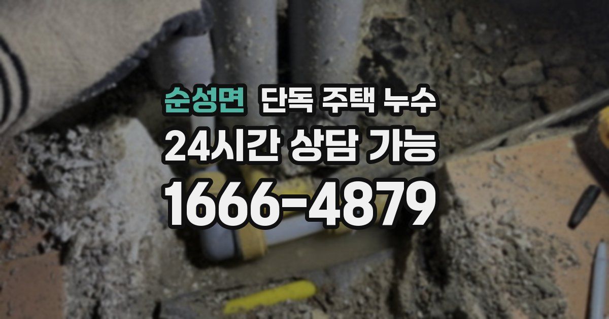 순성면 단독 주택 누수