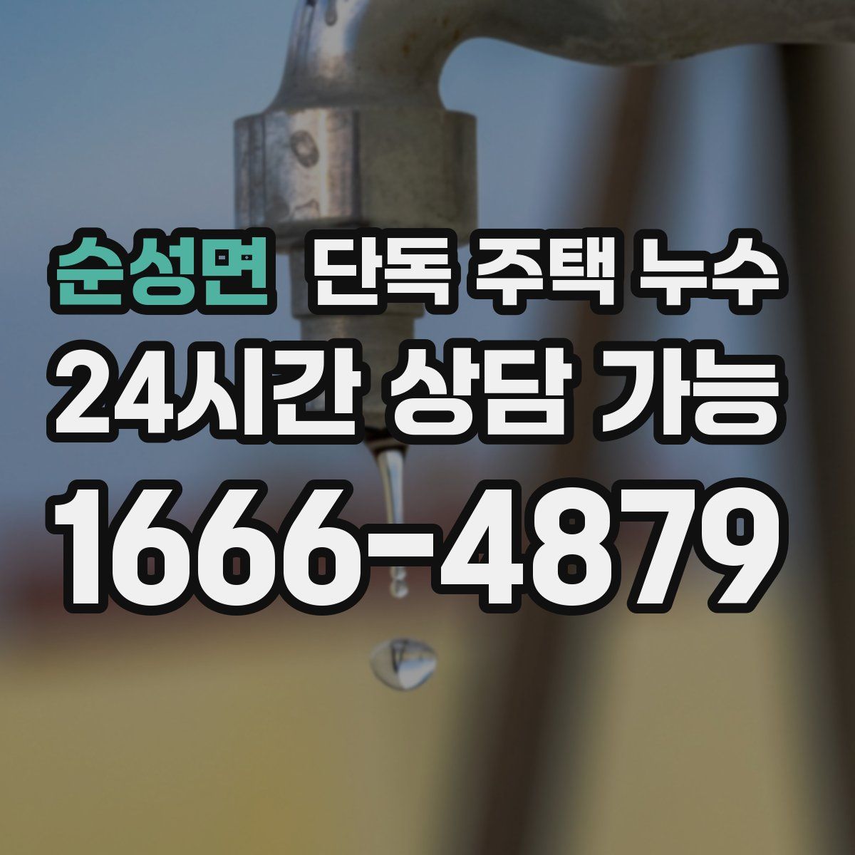 순성면 단독 주택 누수