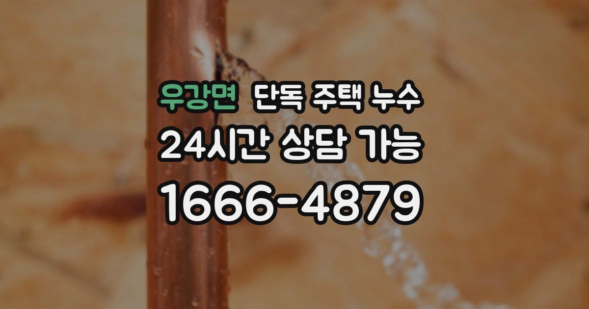 우강면 단독 주택 누수