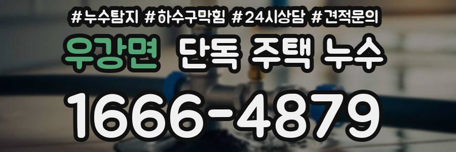 우강면 단독 주택 누수