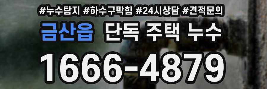 금산읍 단독 주택 누수