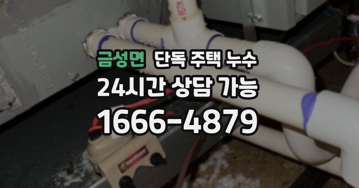 금성면 단독 주택 누수