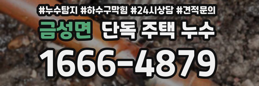 금성면 단독 주택 누수