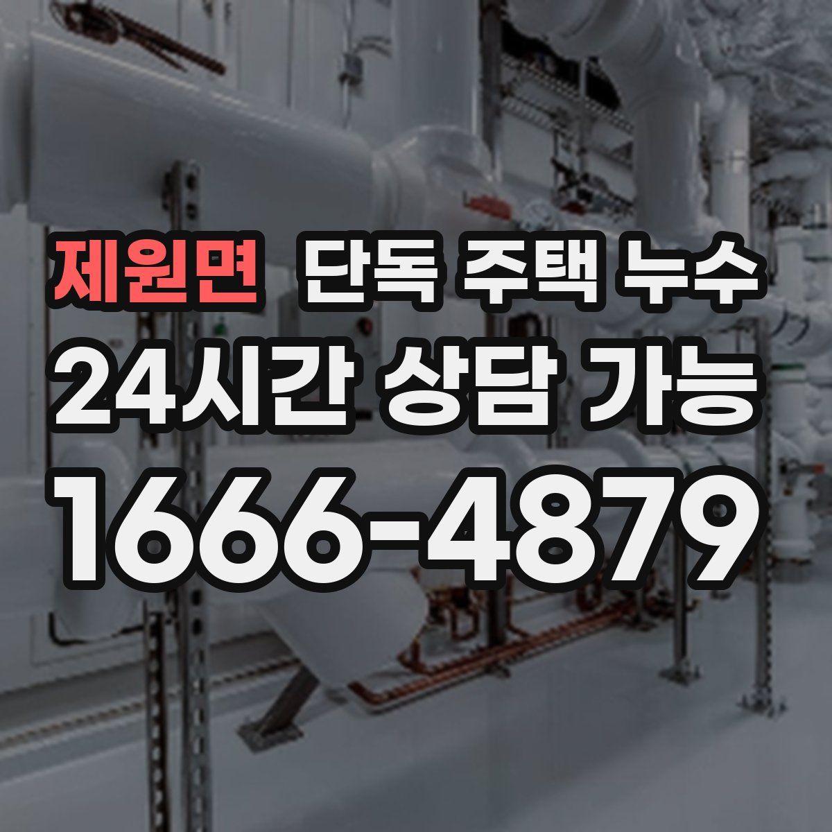 제원면 단독 주택 누수