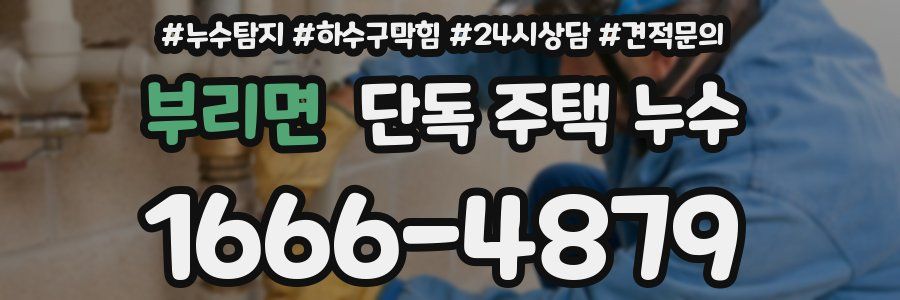 부리면 단독 주택 누수