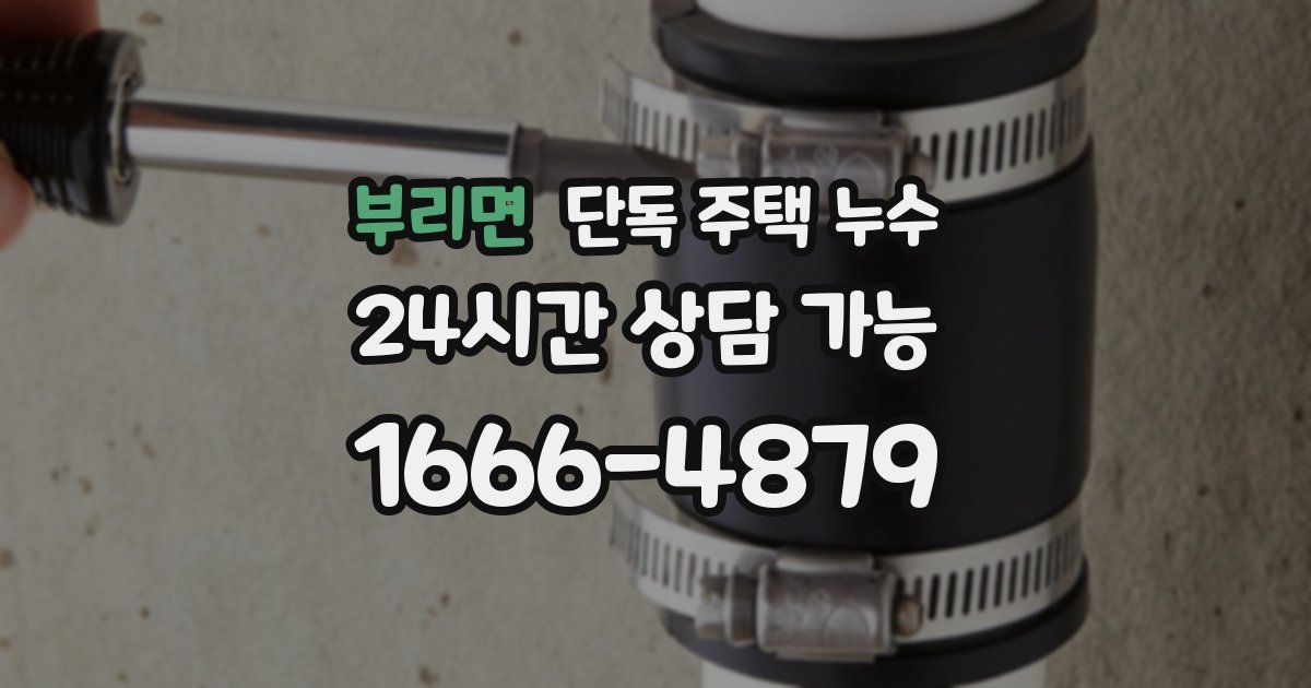 부리면 단독 주택 누수