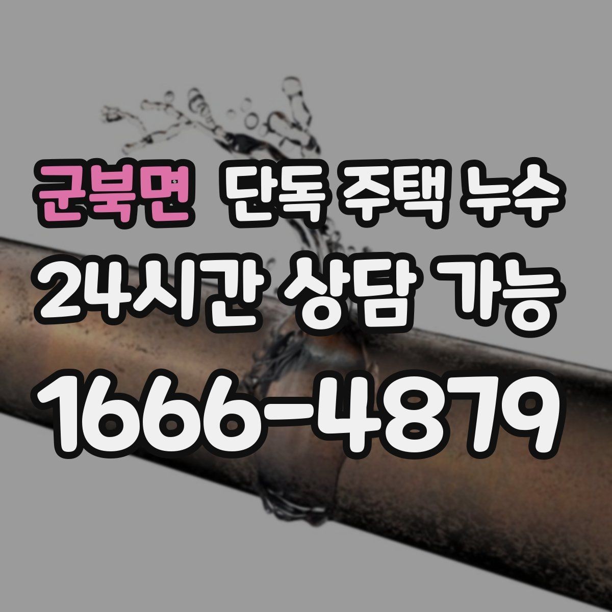 군북면 단독 주택 누수 장판 아래 곰팡이 생겼다면 무엇을 의심할까