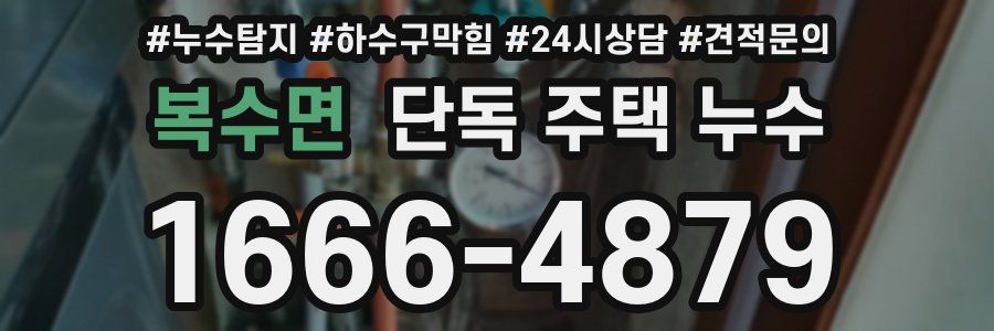 복수면 단독 주택 누수