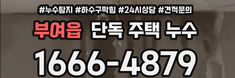 부여읍 단독 주택 누수