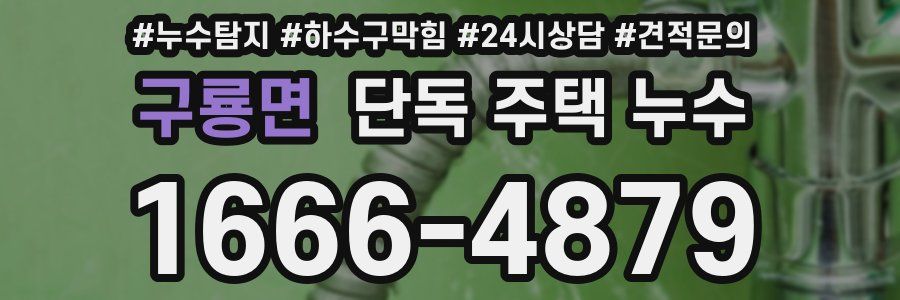 구룡면 단독 주택 누수