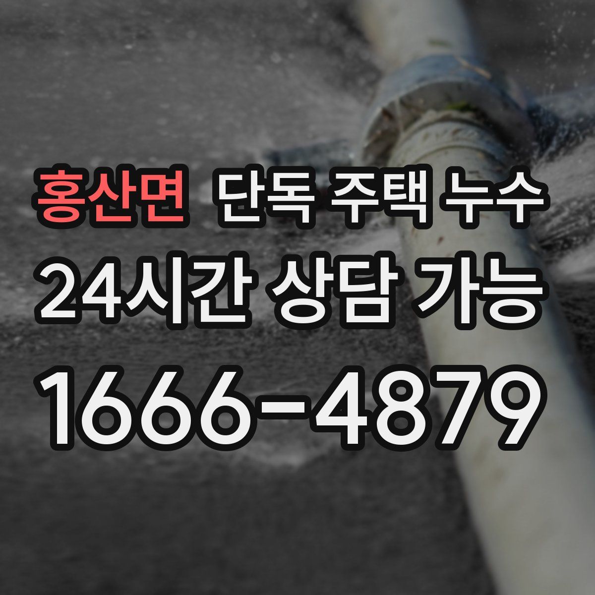 홍산면 단독 주택 누수