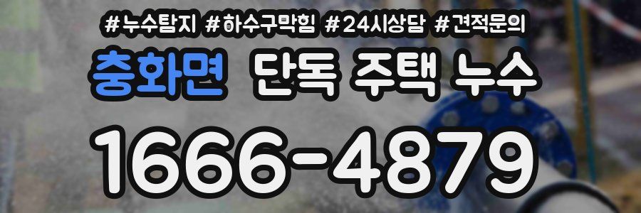 충화면 단독 주택 누수