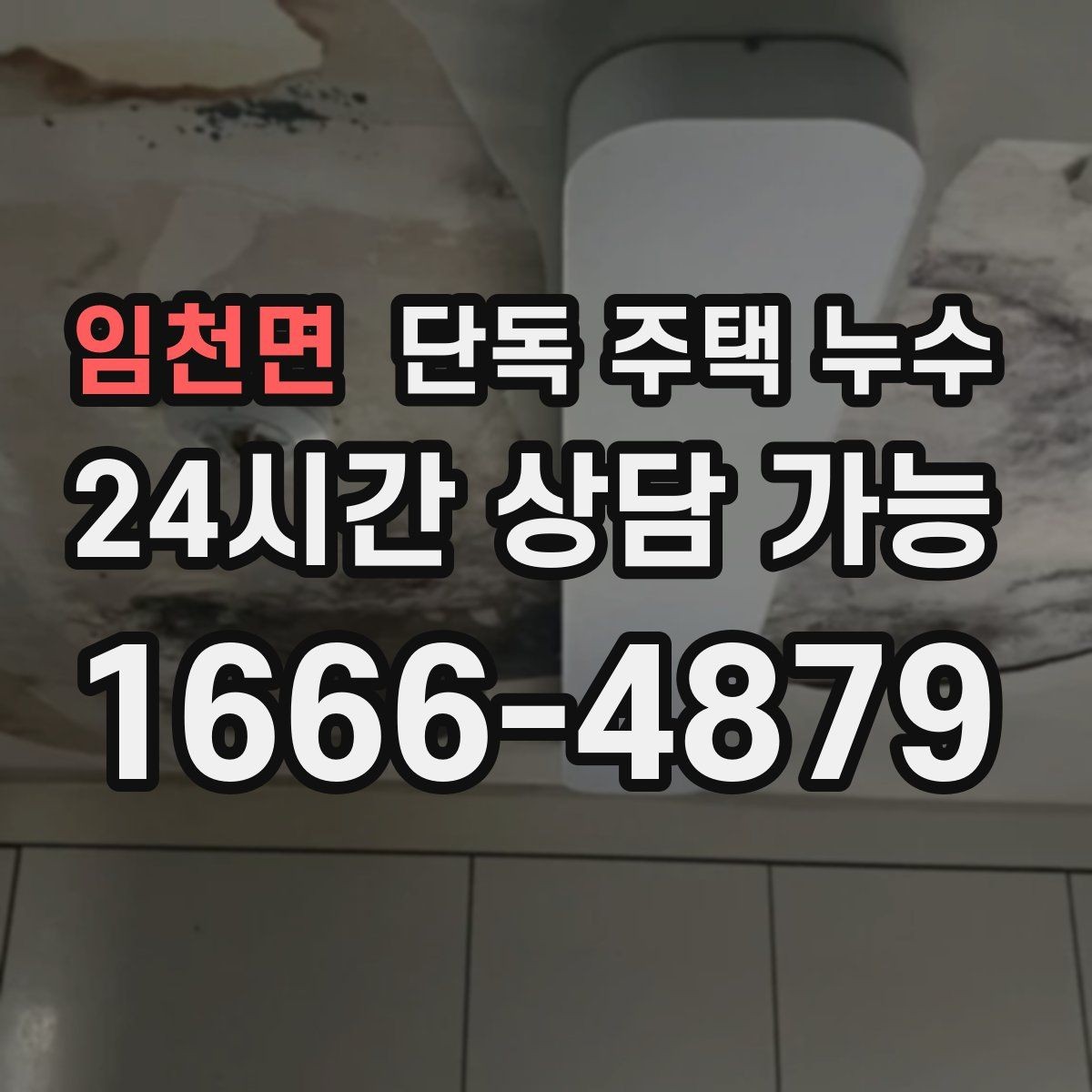 임천면 단독 주택 누수 곰팡이만 생기고 물자국은 없을 때