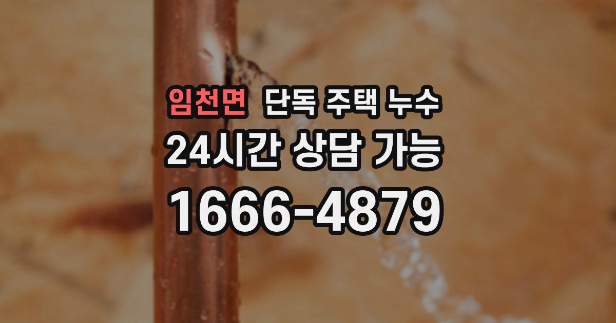 임천면 단독 주택 누수