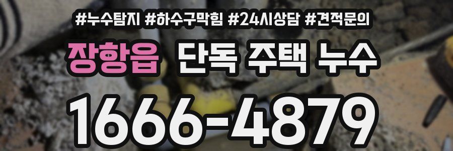 장항읍 단독 주택 누수