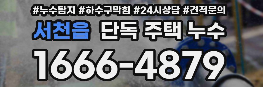 서천읍 단독 주택 누수