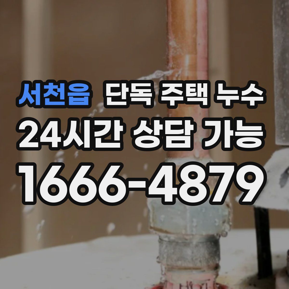 서천읍 단독 주택 누수