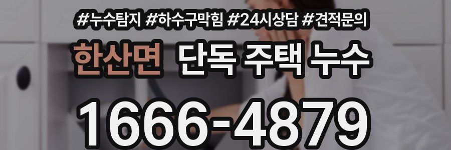 한산면 단독 주택 누수