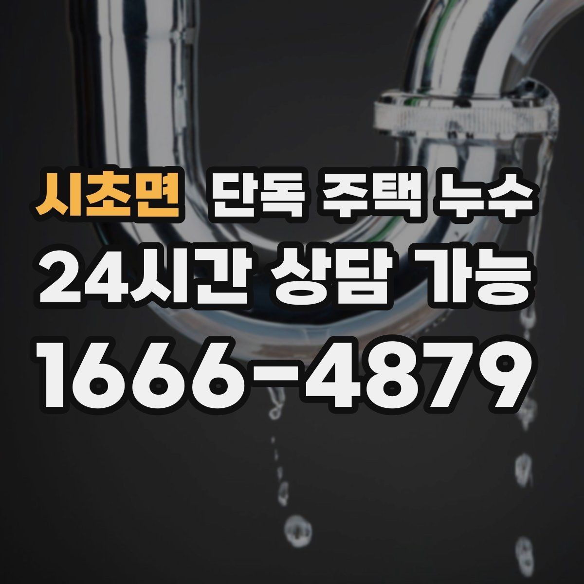 시초면 단독 주택 누수 배수관 누수로 바닥이 젖는 경우