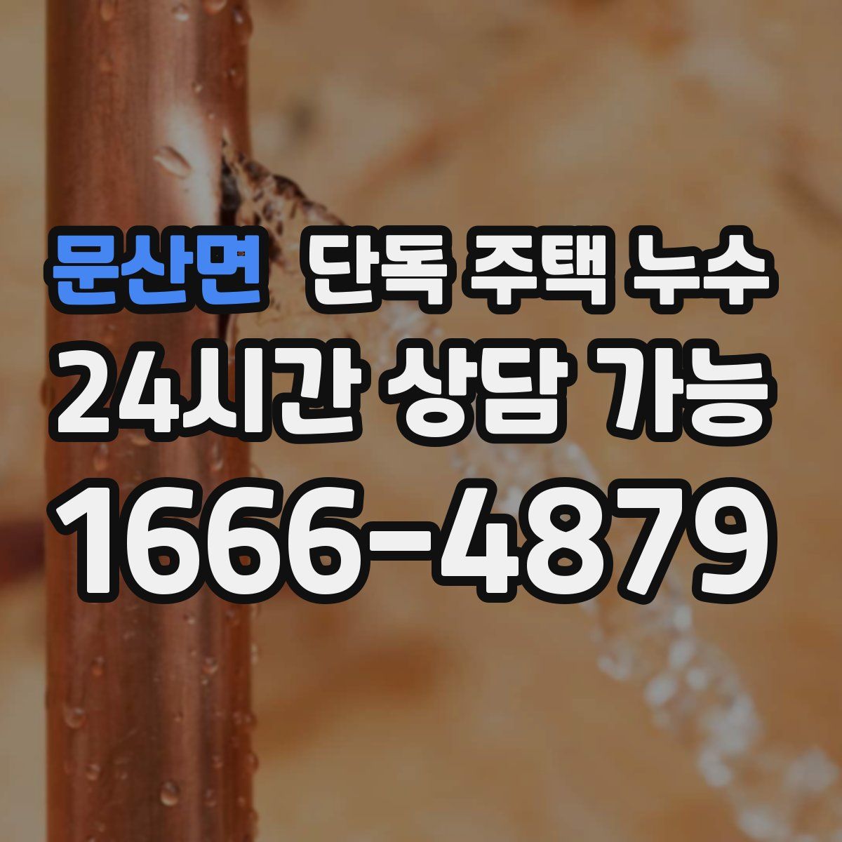 문산면 단독 주택 누수