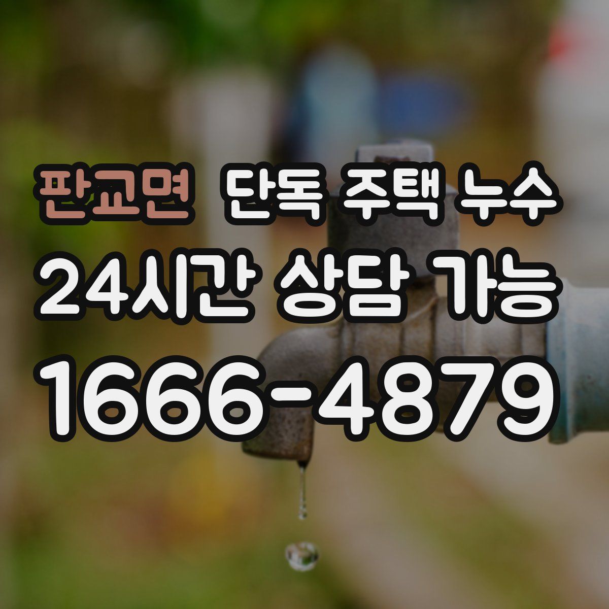 판교면 단독 주택 누수