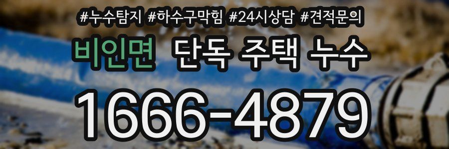 비인면 단독 주택 누수