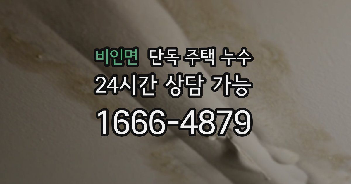 비인면 단독 주택 누수