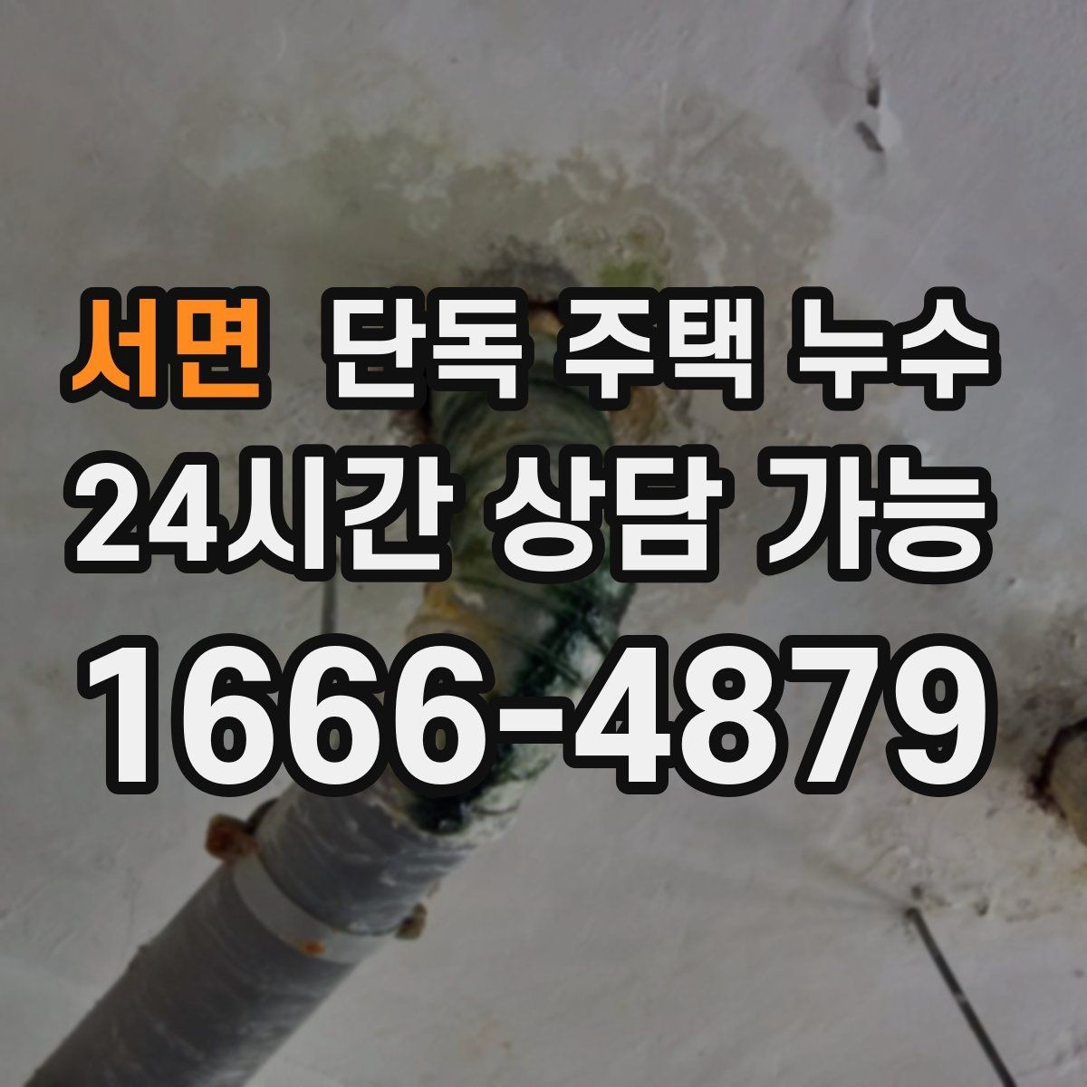 서면 단독 주택 누수 마당 물이 집 쪽으로 모일 때 위험 신호