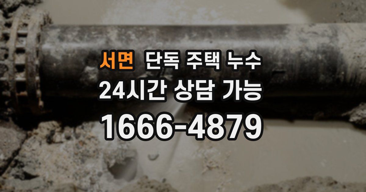 서면 단독 주택 누수