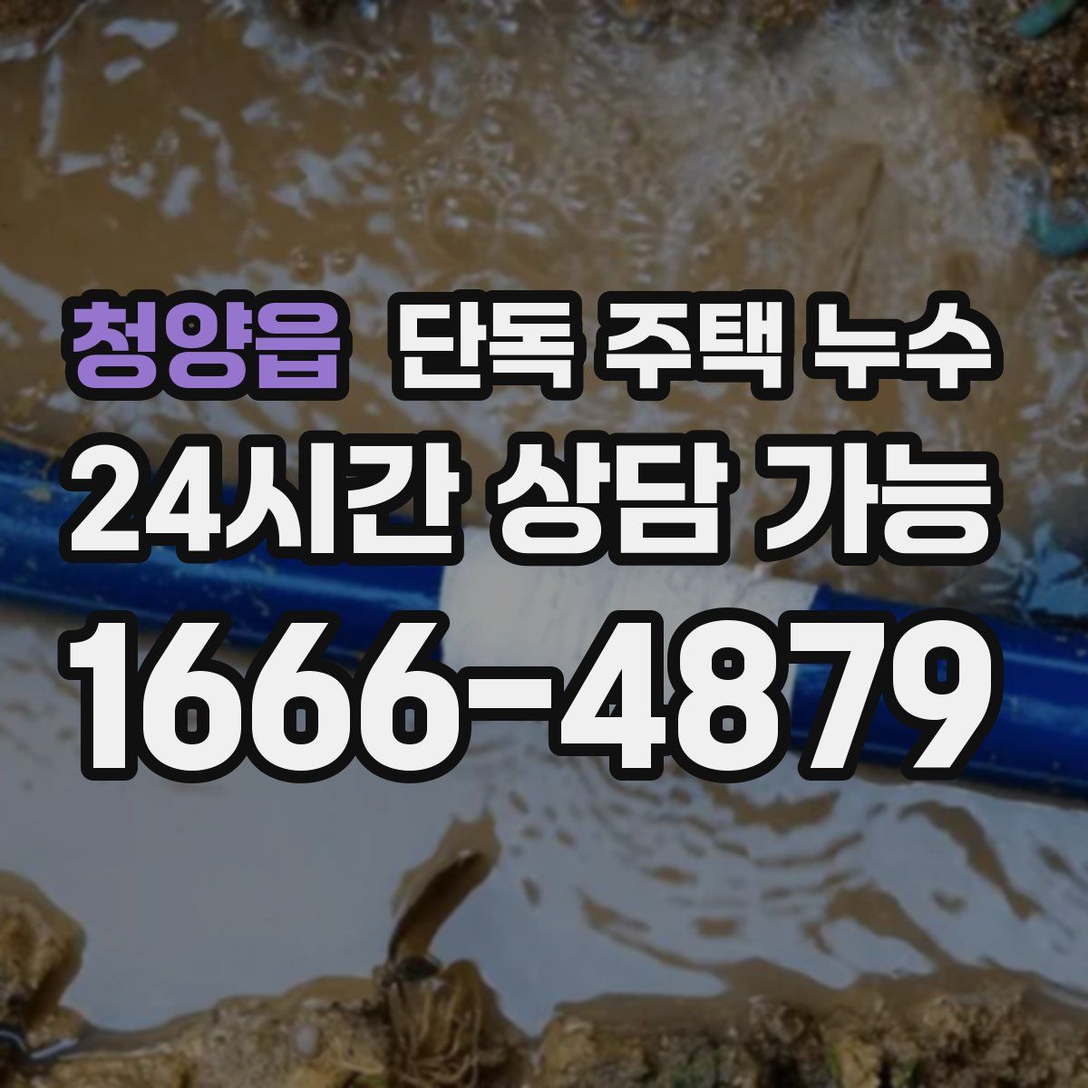 청양읍 단독 주택 누수