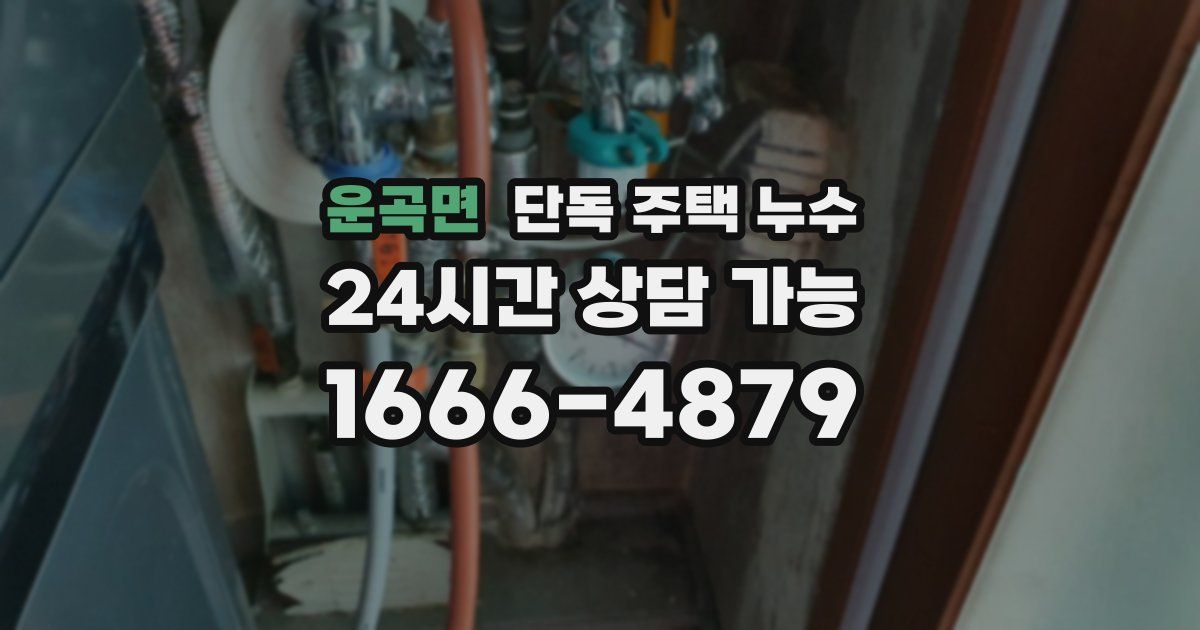 운곡면 단독 주택 누수