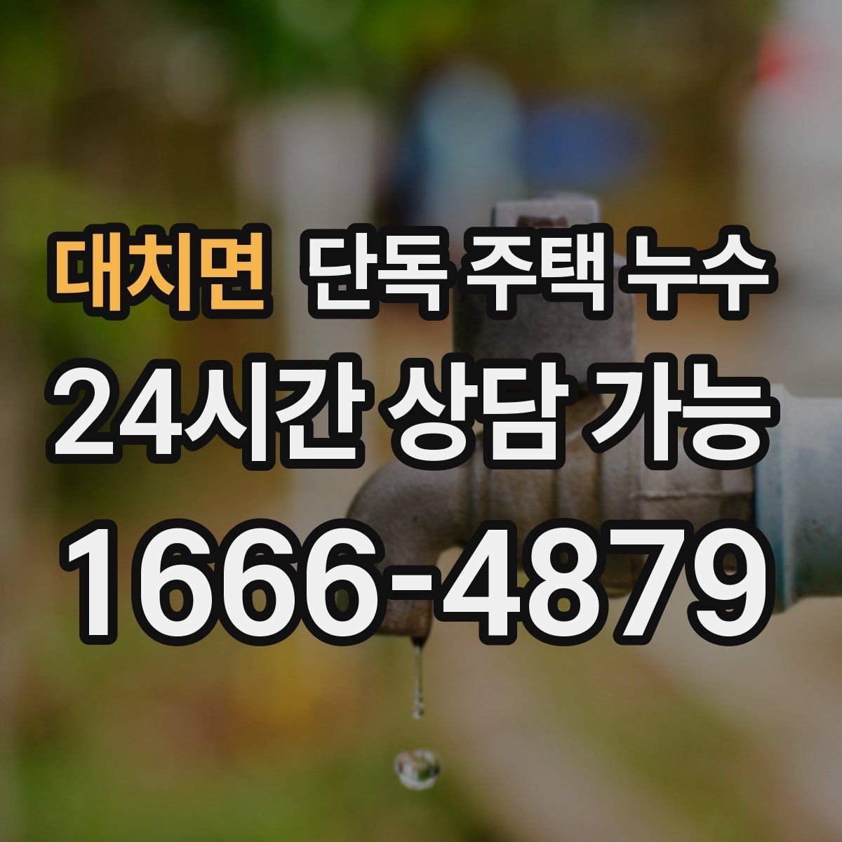 대치면 단독 주택 누수