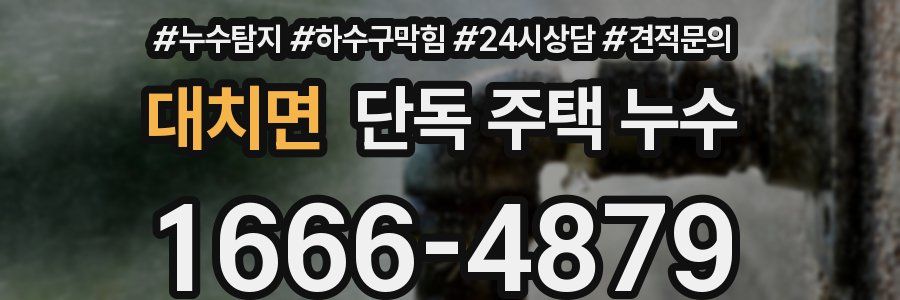 대치면 단독 주택 누수