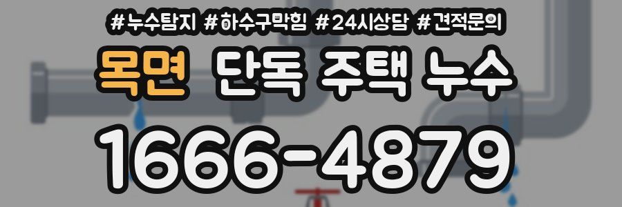 목면 단독 주택 누수