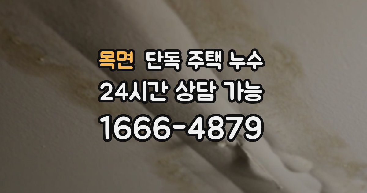 목면 단독 주택 누수