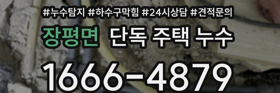 장평면 단독 주택 누수