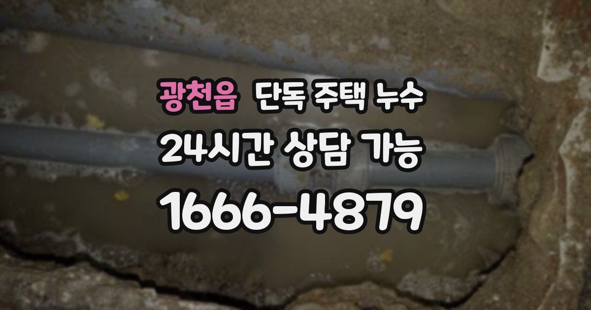 광천읍 단독 주택 누수