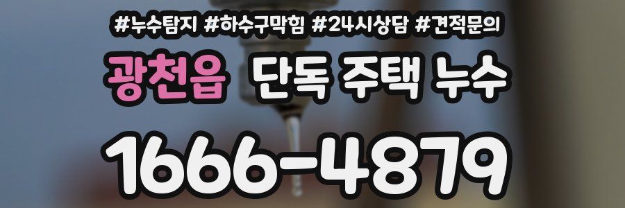 광천읍 단독 주택 누수