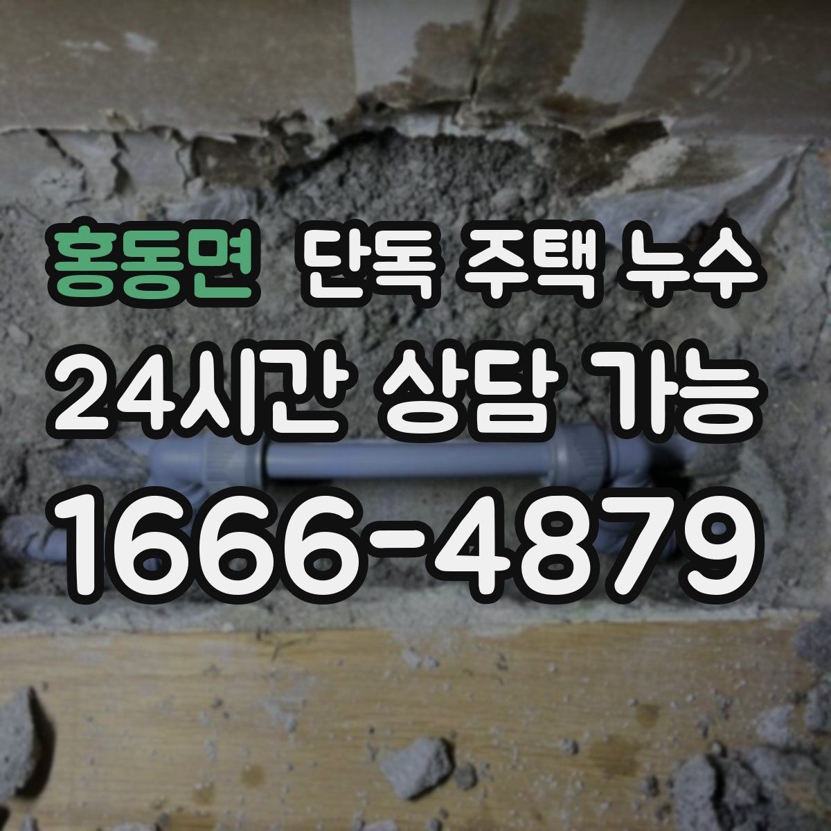 홍동면 단독 주택 누수 담장 쪽 물고임이 벽으로 스며드는 경우
