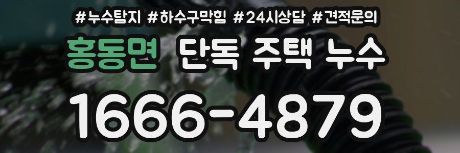 홍동면 단독 주택 누수