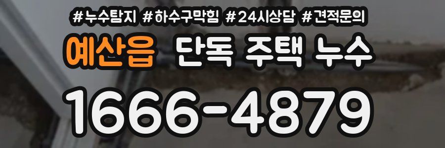예산읍 단독 주택 누수