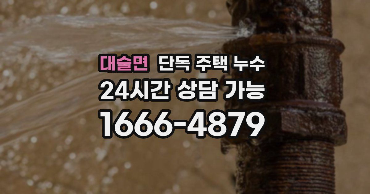 대술면 단독 주택 누수