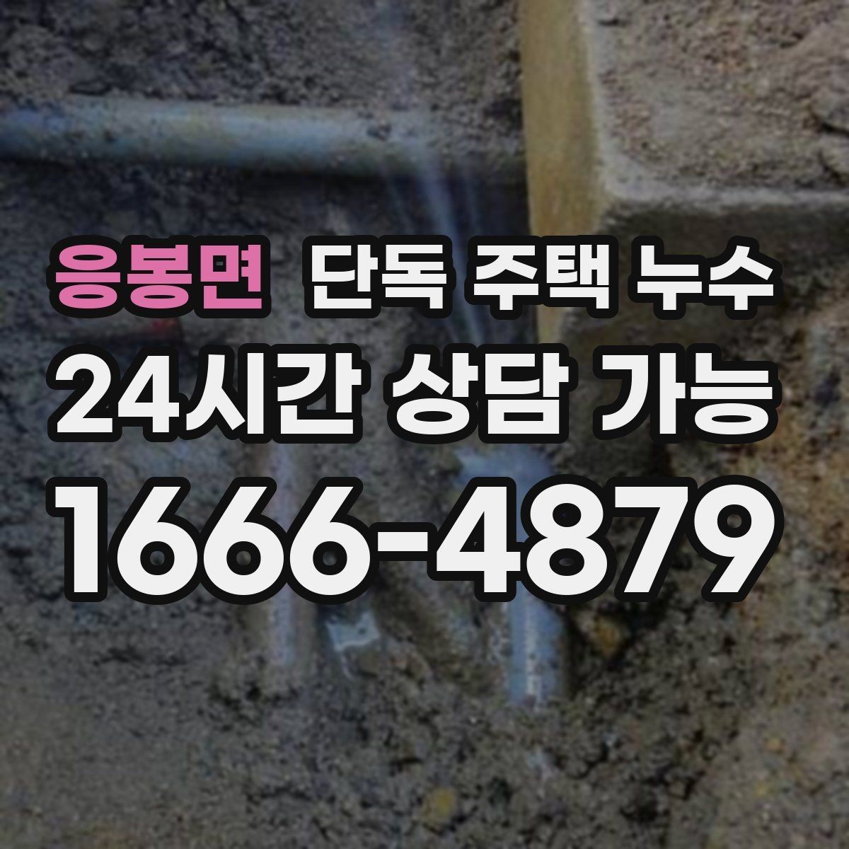 응봉면 단독 주택 누수 외벽 오염 자국이 물길일 수 있는 이유