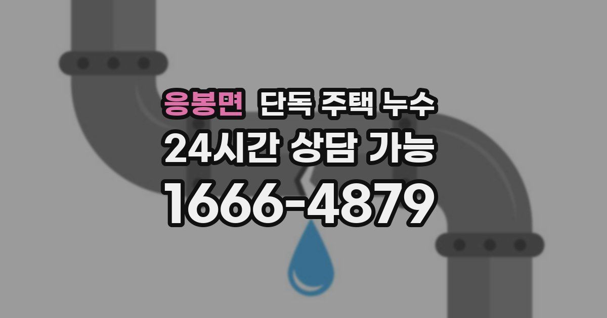 응봉면 단독 주택 누수