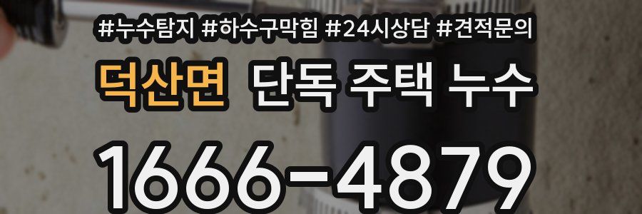 덕산면 단독 주택 누수