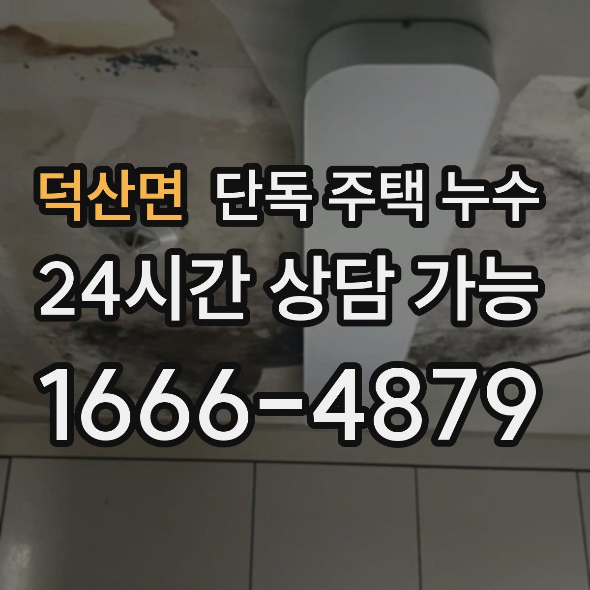 덕산면 단독 주택 누수