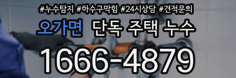 오가면 단독 주택 누수